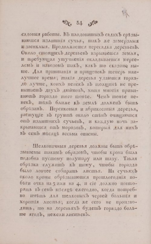 Страница 98