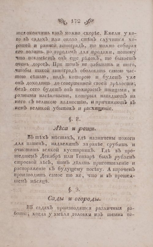 Страница 216