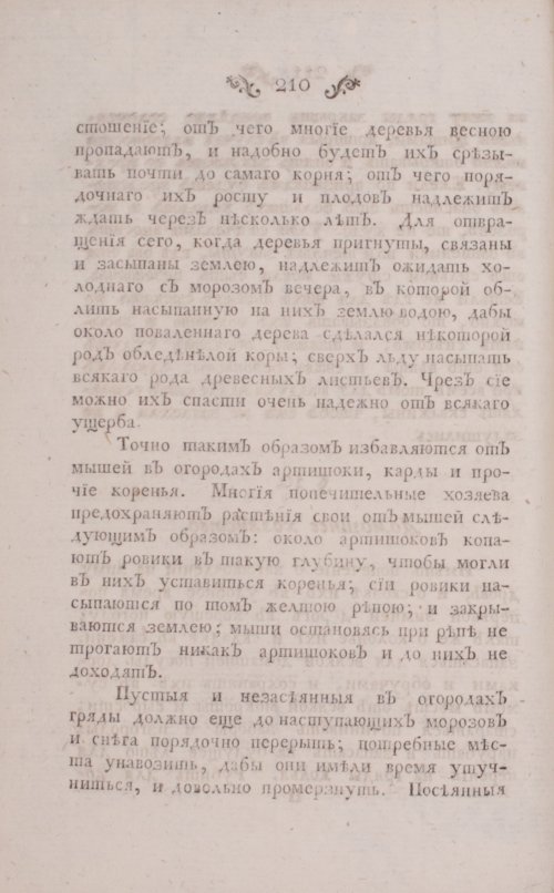 Страница 252