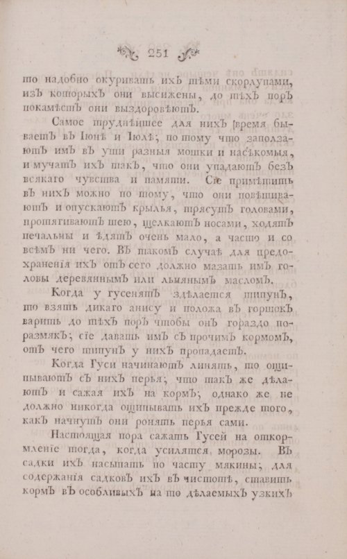 Страница 293