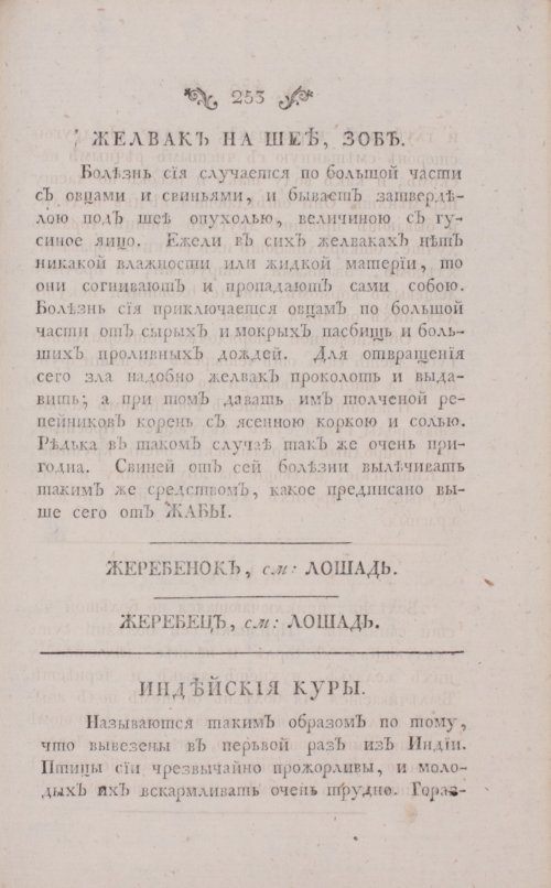 Страница 295