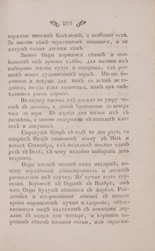 Страница 337