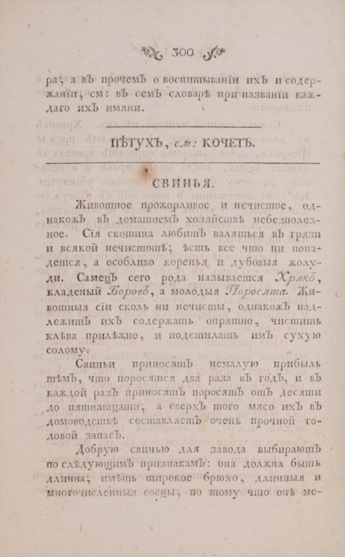 Страница 342