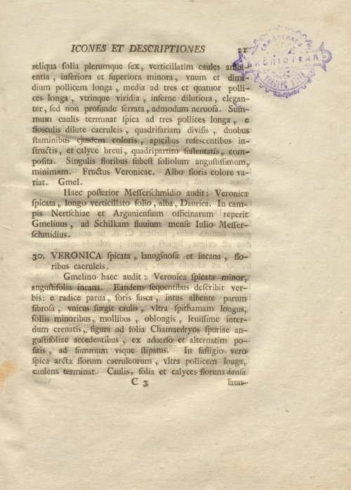 Страница 33