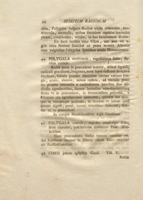 Страница 46