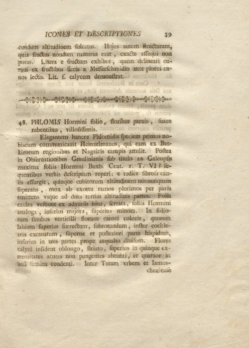 Страница 51
