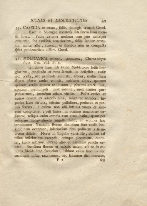 Страница 55