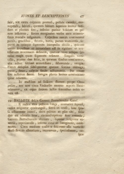 Страница 59