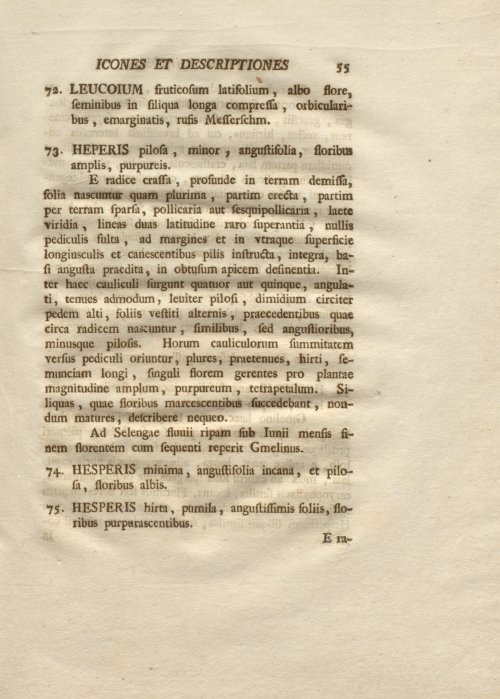 Страница 67