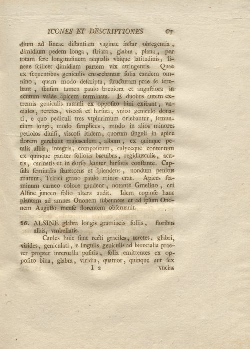 Страница 79