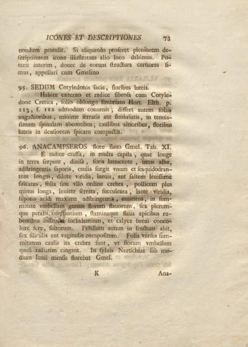 Страница 85