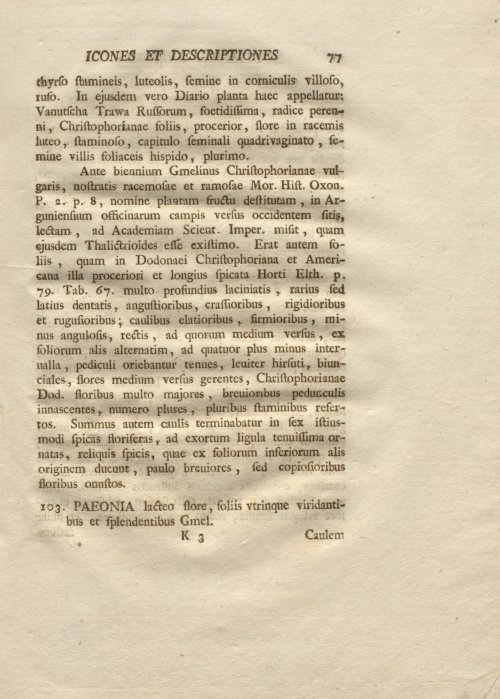Страница 89