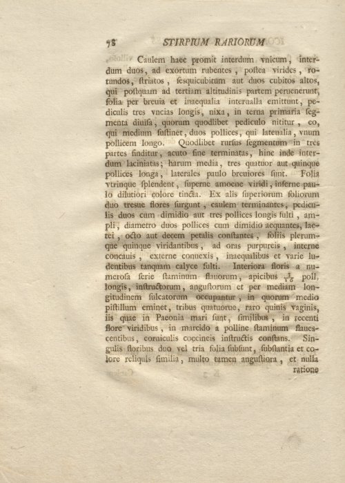 Страница 90