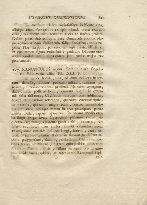 Страница 93