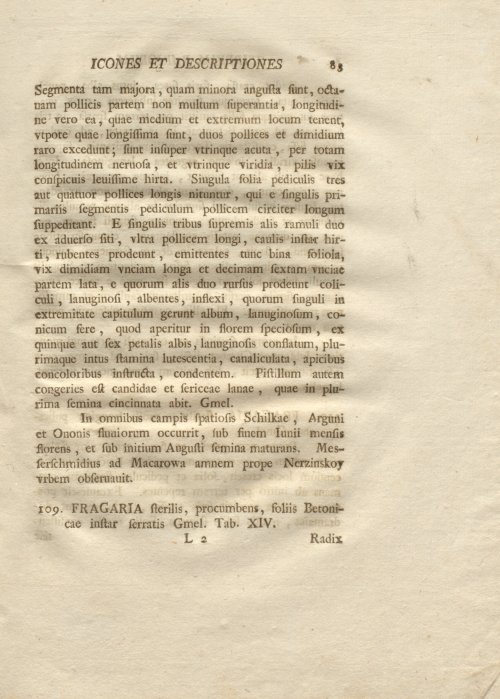 Страница 95