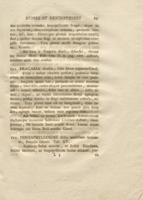 Страница 97