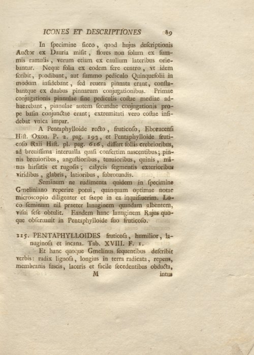 Страница 101