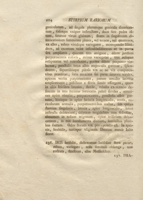Страница 116