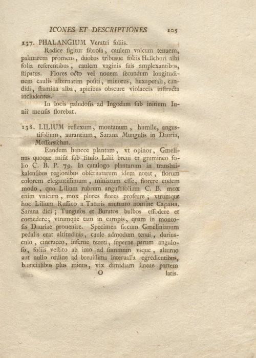 Страница 117