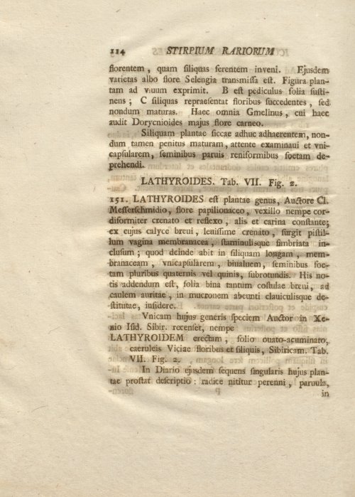 Страница 126
