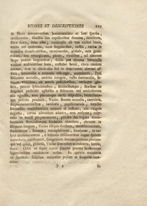 Страница 127