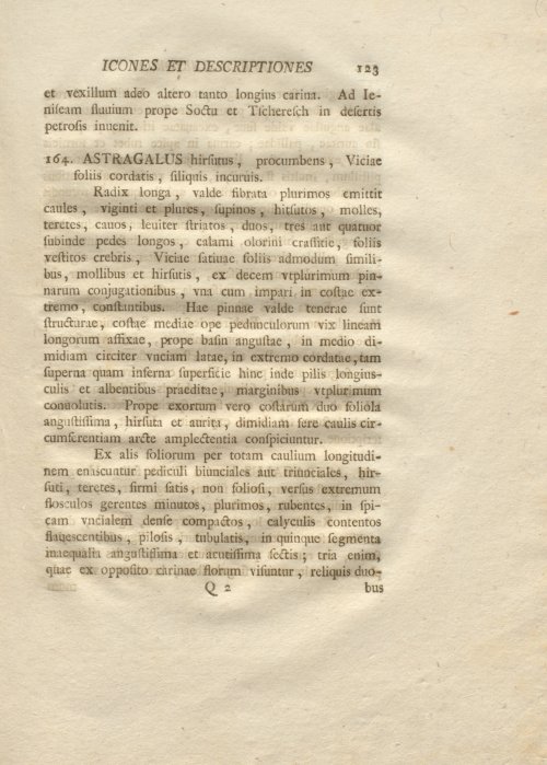 Страница 135