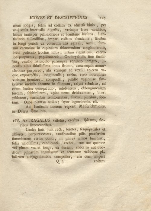 Страница 137