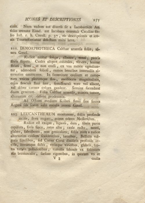 Страница 169