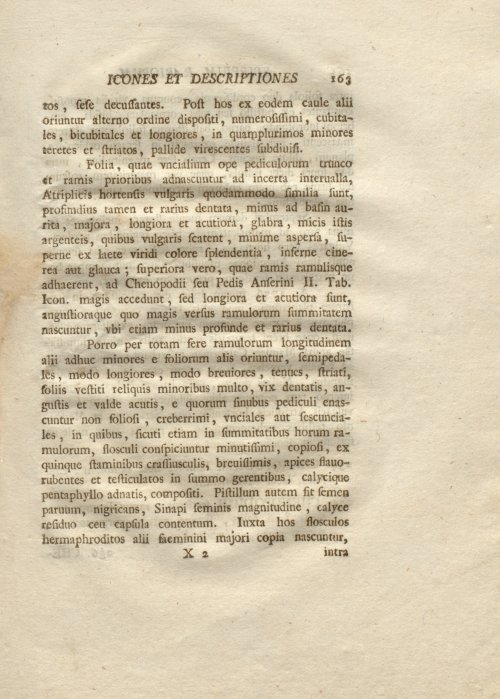 Страница 175