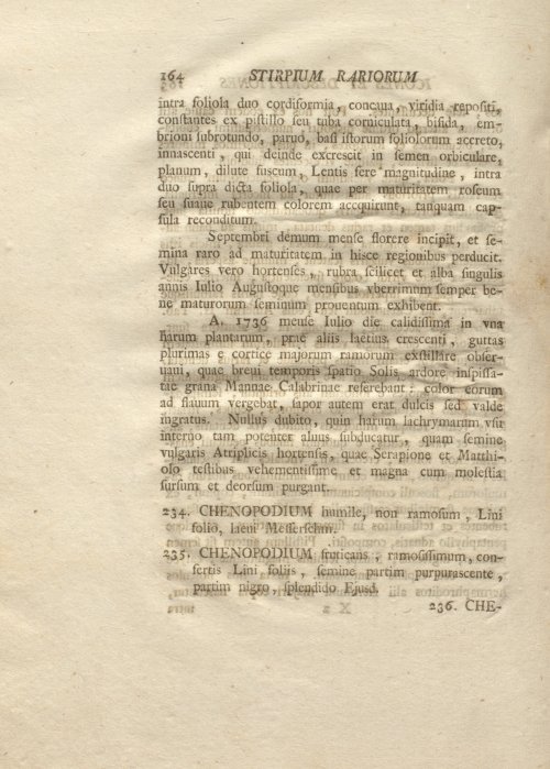 Страница 176