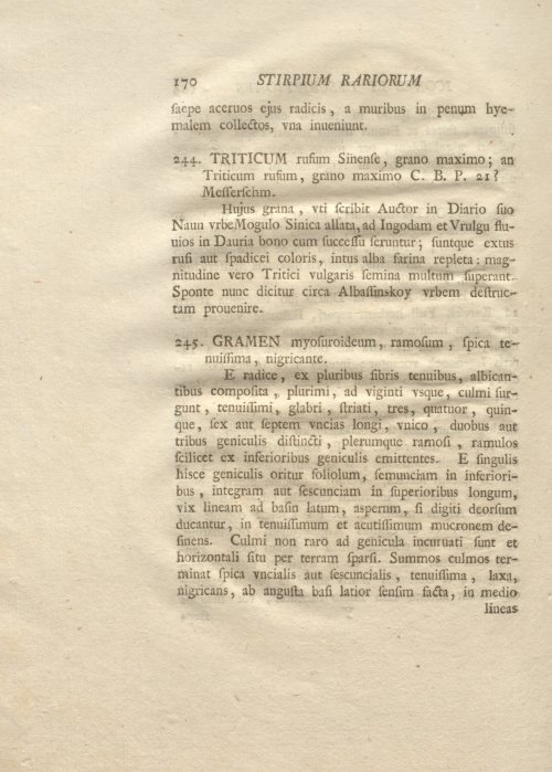 Страница 182