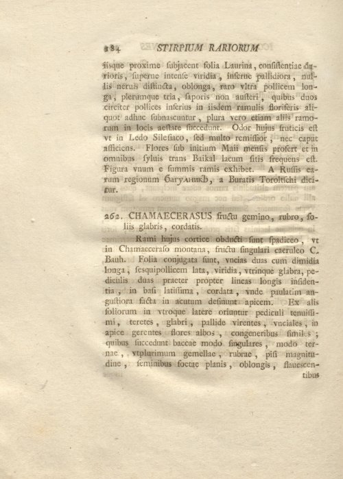 Страница 196