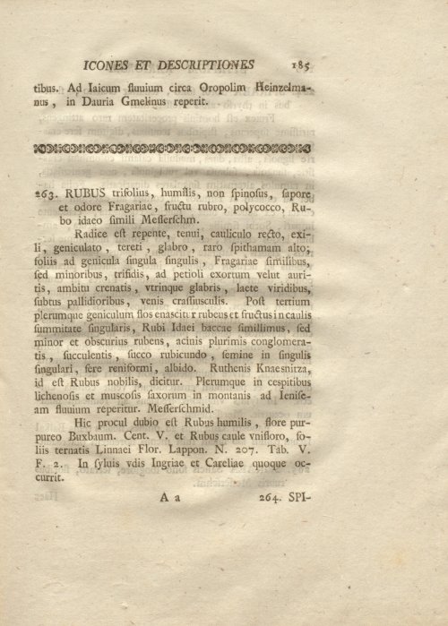 Страница 197