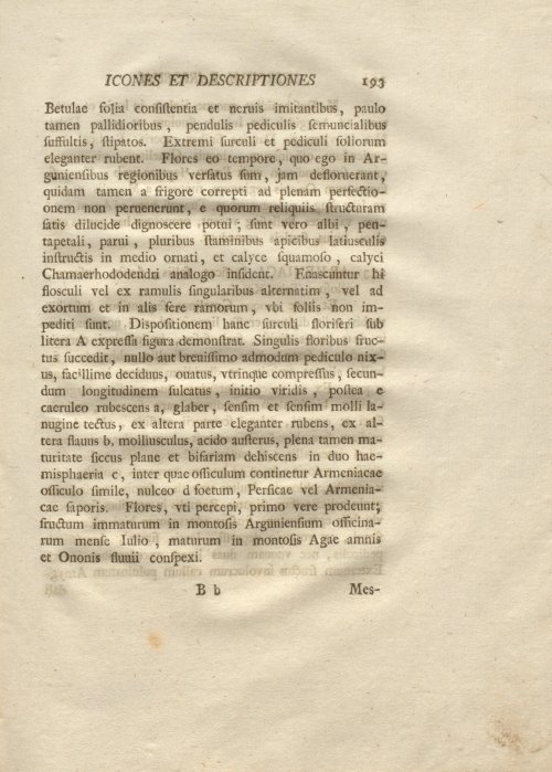 Страница 205