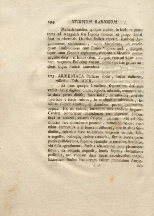 Страница 206