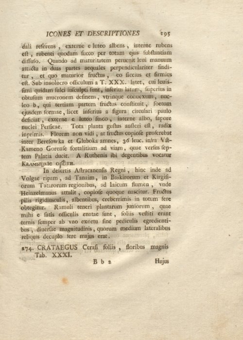Страница 207