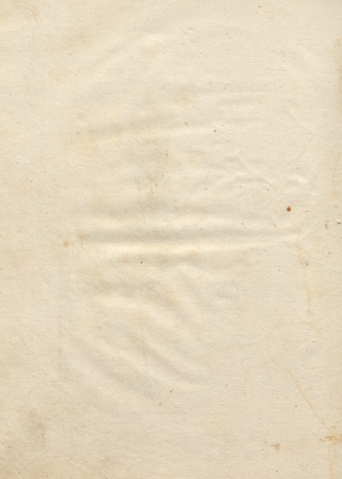 Страница 240