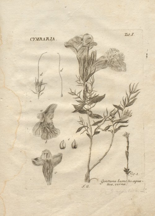 Страница 241