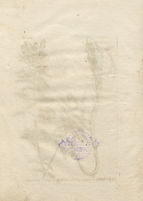 Страница 252
