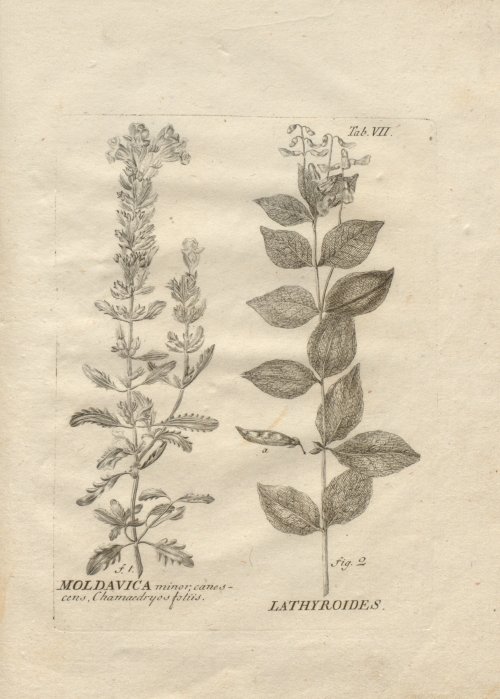 Страница 253