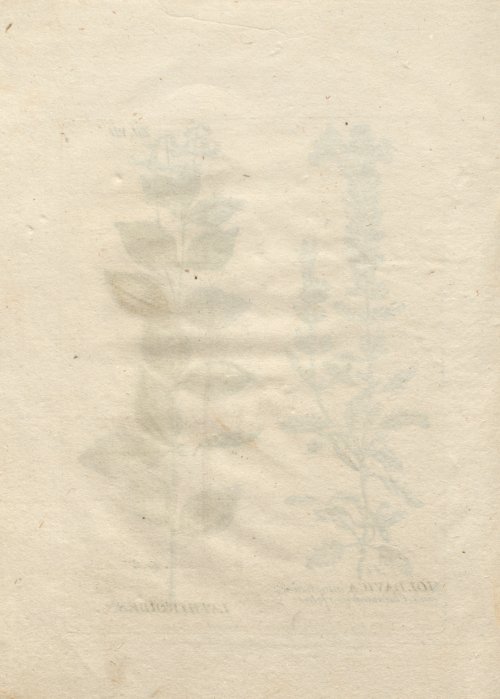 Страница 254