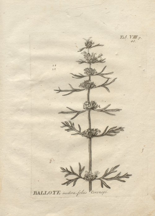 Страница 255