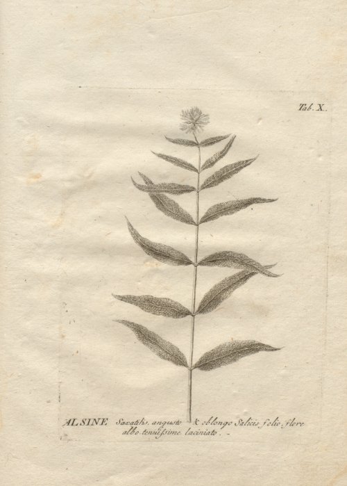 Страница 259