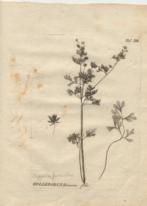 Страница 263