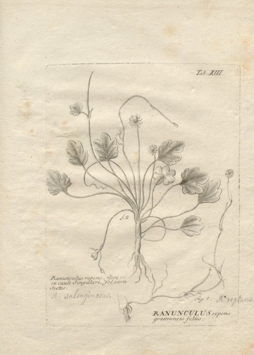 Страница 265