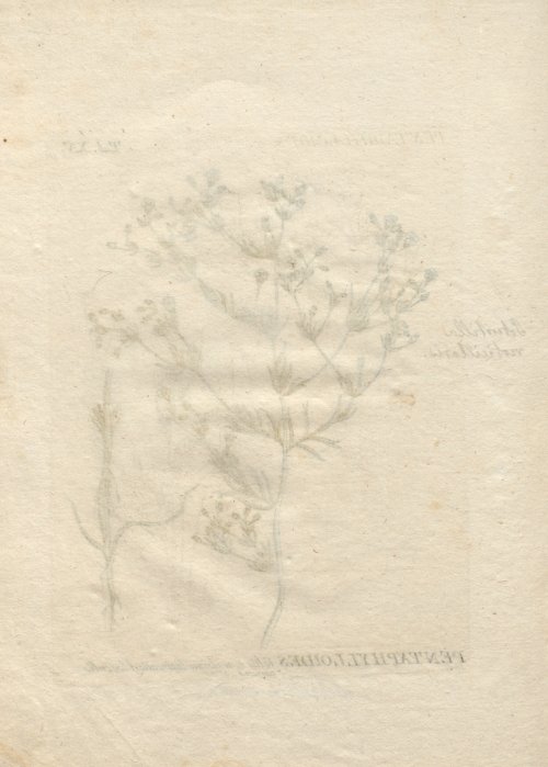 Страница 268