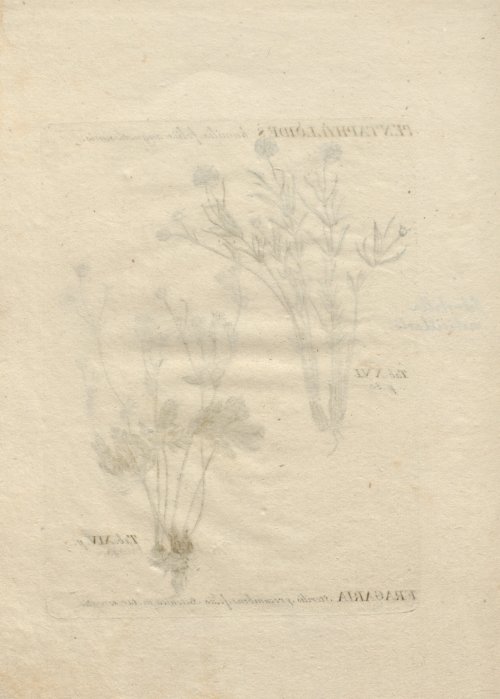 Страница 270