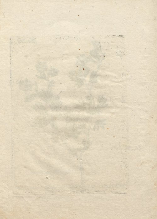 Страница 272