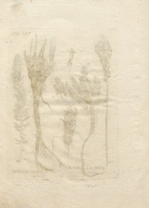 Страница 276