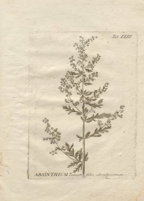 Страница 283